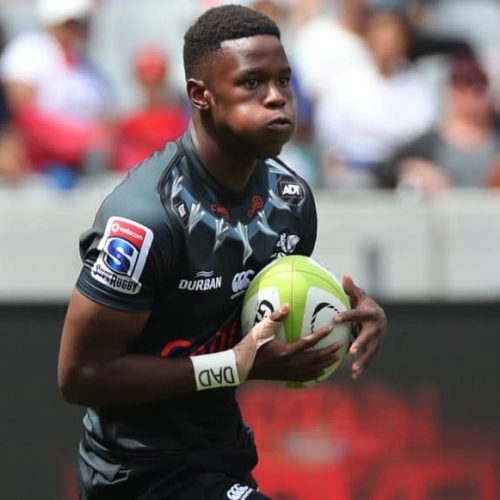 Fassi injury blow for Sharks, Boks