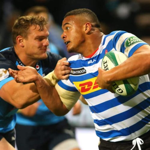 Waiting game nearly over for SA rugby