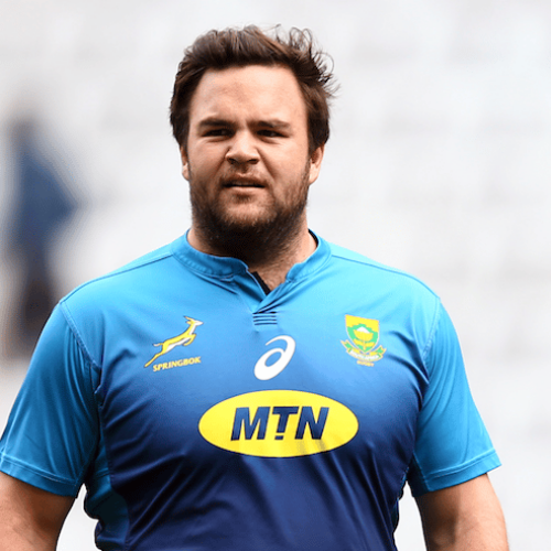 Malherbe picks Boks over big-money Japan move