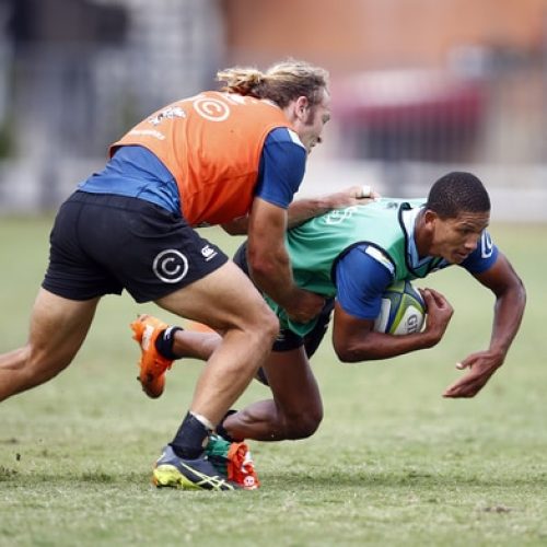 Libbok, Kok set for Sharks debut