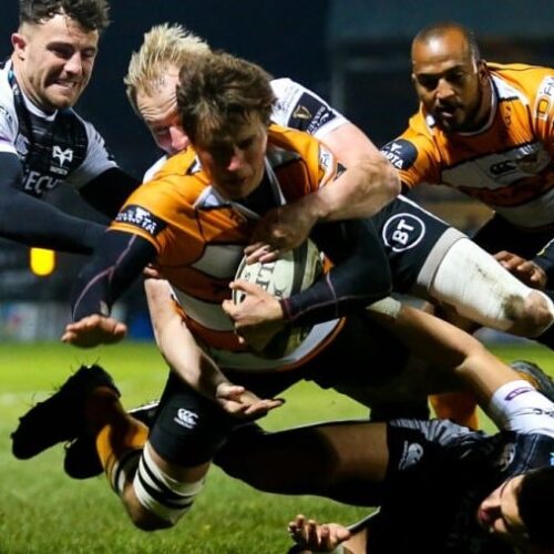 Talks confirmed for more SA teams to join PRO14