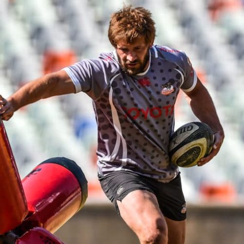 Bok veterans start for Cheetahs