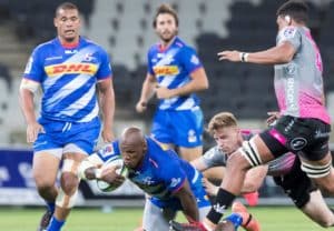 Read more about the article Stormers comeback floors plucky Pumas