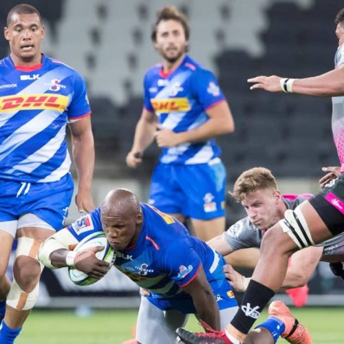 Stormers comeback floors plucky Pumas