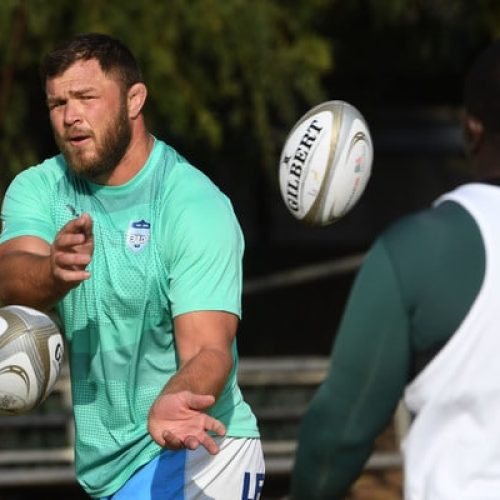 Vermeulen returns as Bulls ring changes