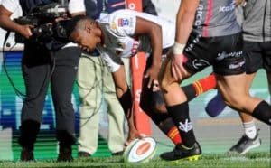 Read more about the article Cheetahs cruise past Pumas