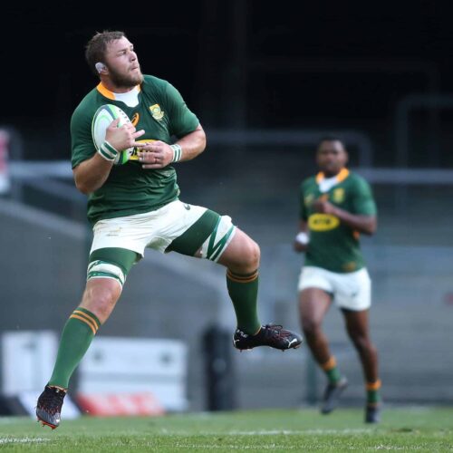 Green punish Gold in Bok showdown