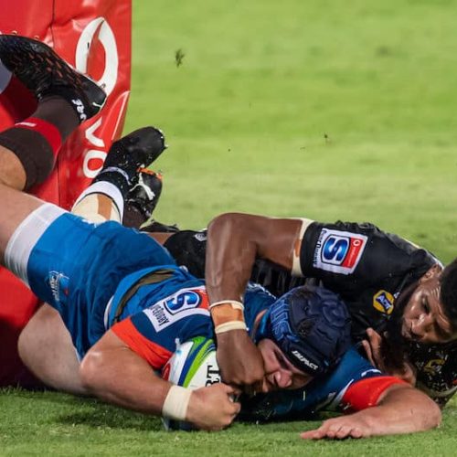 What Van Staden’s move could mean for Bulls, Tigers
