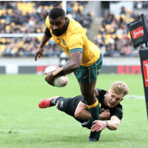 Wallabies, All Blacks draw in 88-minute match