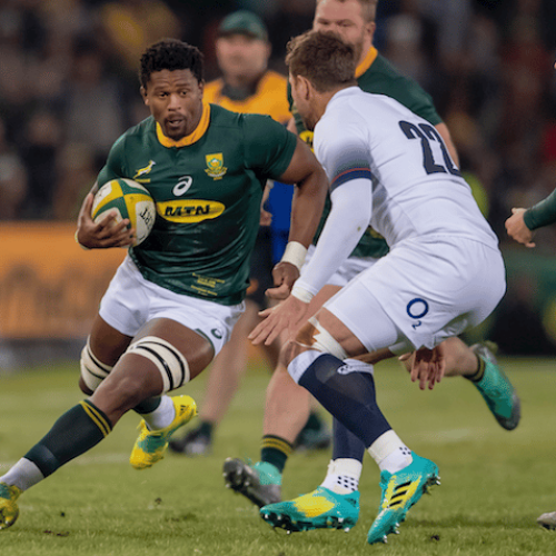 Bok Showdown: From mates to rivals for 80 minutes