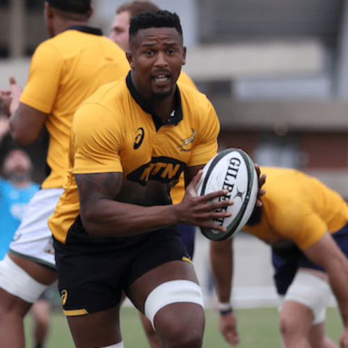 Notshe delighted to be back with Boks