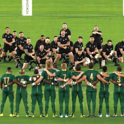 Boks to opt out of Rugby Champs – report