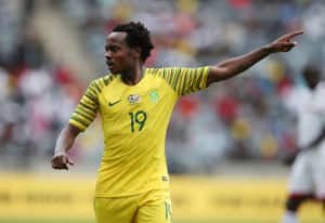Read more about the article Dolly, Tau, Furman report for Bafana