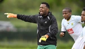 Read more about the article Khune: Ntseki believes I will add value to Bafana