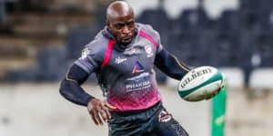 Read more about the article Pumas see off Griquas