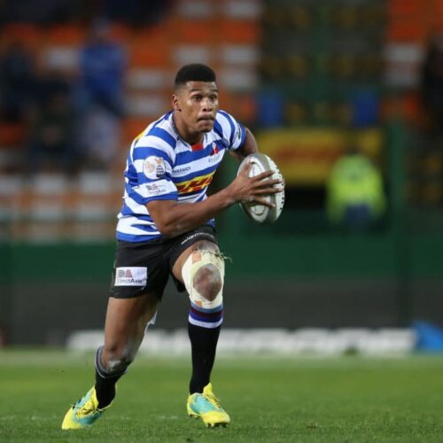 Province shift Willemse to fullback