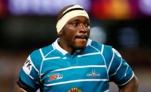 Read more about the article Sekekete at flank for Cheetahs