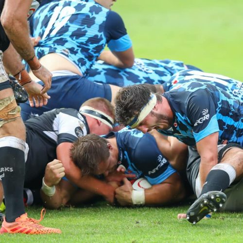 Bulls snatch Currie Cup in dramatic final