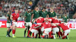Read more about the article Boks to face Wales in November