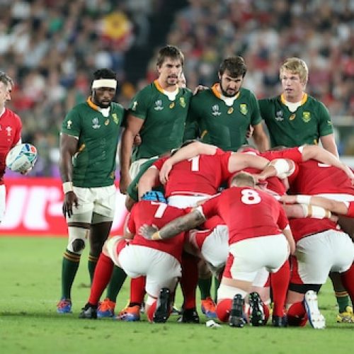 Boks to face Wales in November