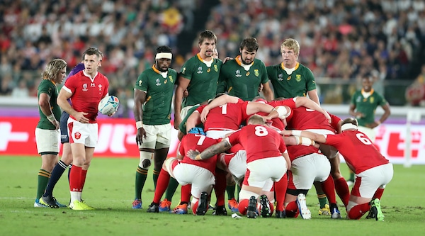 You are currently viewing Boks to face Wales in November