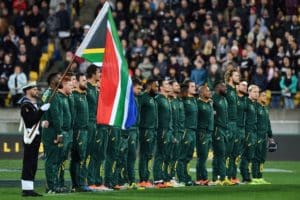 Read more about the article Boks: We share your pain South Africa, let’s start the healing