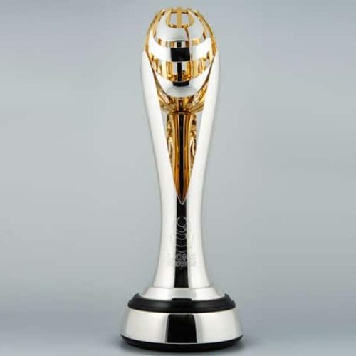 British & Irish Lions series trophy unveiled