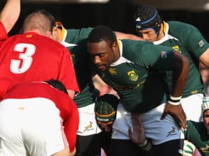 Read more about the article Beast rated Boks’ best front rower against Lions