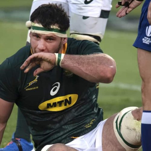 Bok flank set for Bulls debut