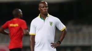 Read more about the article Golden Arrows announce shocking departure of Ncikazi