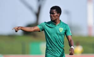 Read more about the article Golden Arrows confirm two player exits