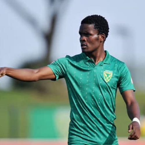 Golden Arrows confirm two player exits