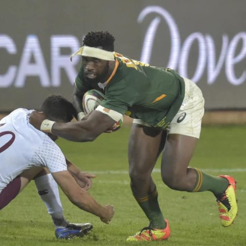 Kolisi cleared to captain Boks, Kwagga to start at 8