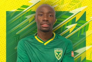 Read more about the article Golden Arrows confirm three more signings