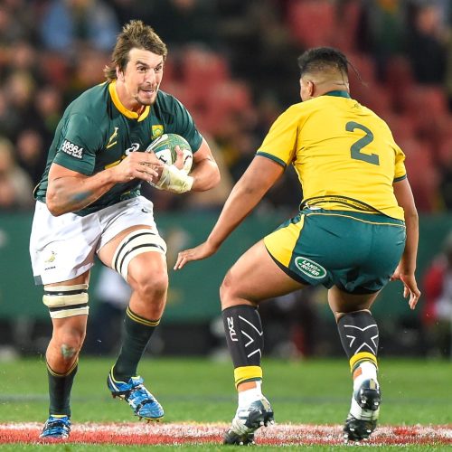 Nienaber: Wallabies, All Blacks present tempo Tests