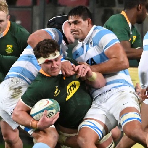 Nienaber: Wiese has an important role to play for Boks