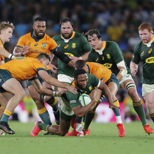 Kolisi: Boks can, and will, be better