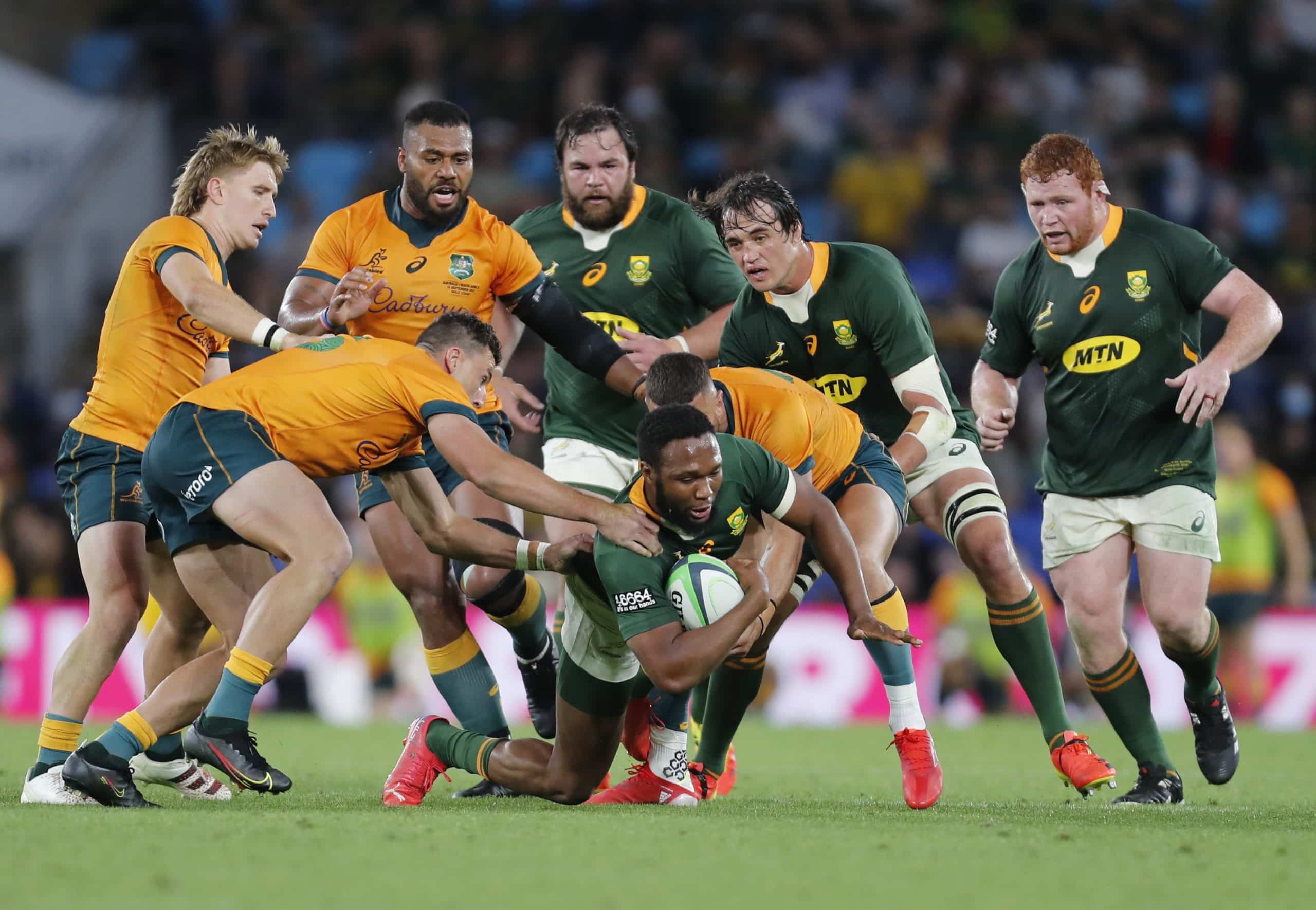 You are currently viewing Kolisi: Boks can, and will, be better