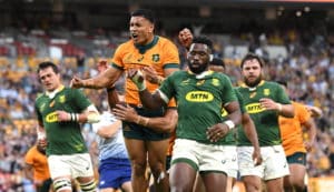 Read more about the article Wallabies carve Boks open in bonus-point win