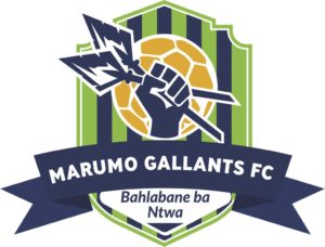 Read more about the article Marumo Gallants confirm takeover of Moroka Swallows