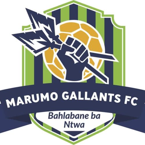 Marumo Gallants confirm takeover of Moroka Swallows