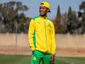 Read more about the article PUMA unveil first drop of Mamelodi Sundowns fanwear