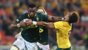 Read more about the article Boks set sights on Wallabies, correcting Australia record