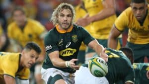 Read more about the article Faf: Wallabies try to run you off your feet