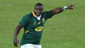 Read more about the article Nyakane: Hurt Bok pack determined to strike back