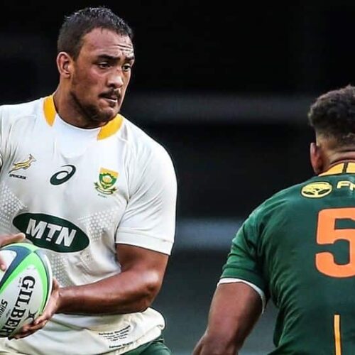 Two uncapped players in Bok November tour squad