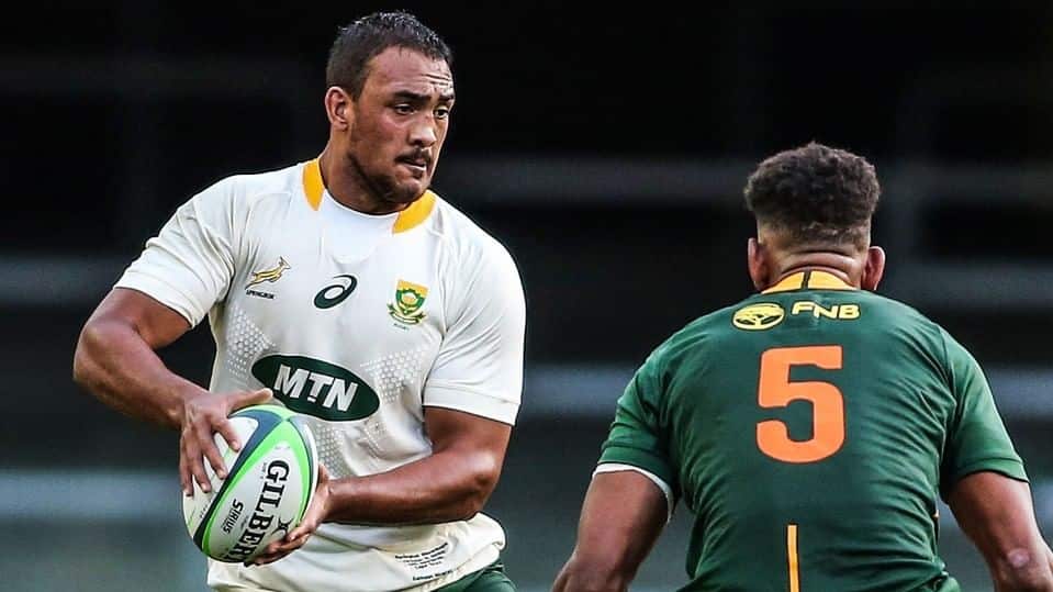 You are currently viewing Two uncapped players in Bok November tour squad