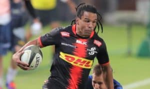 Read more about the article Specman to make Stormers return