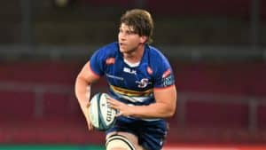 Read more about the article Nienaber: Bok door isn’t shut for in-form rookies