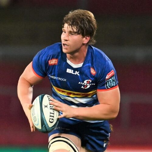 Nienaber: Bok door isn’t shut for in-form rookies